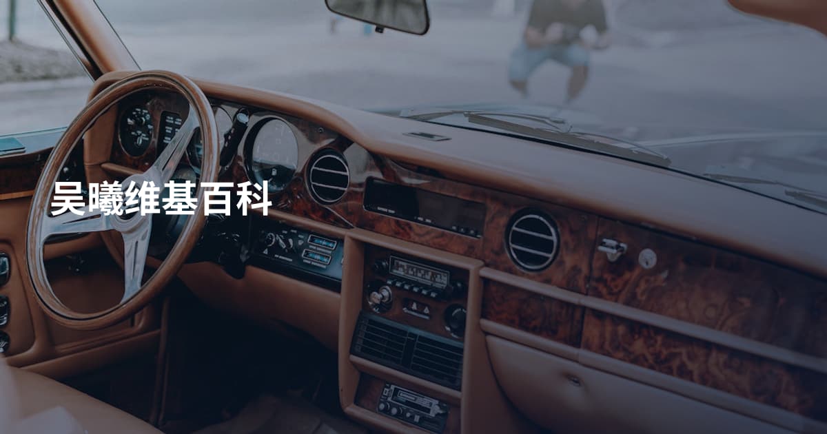 吴曦维基百科