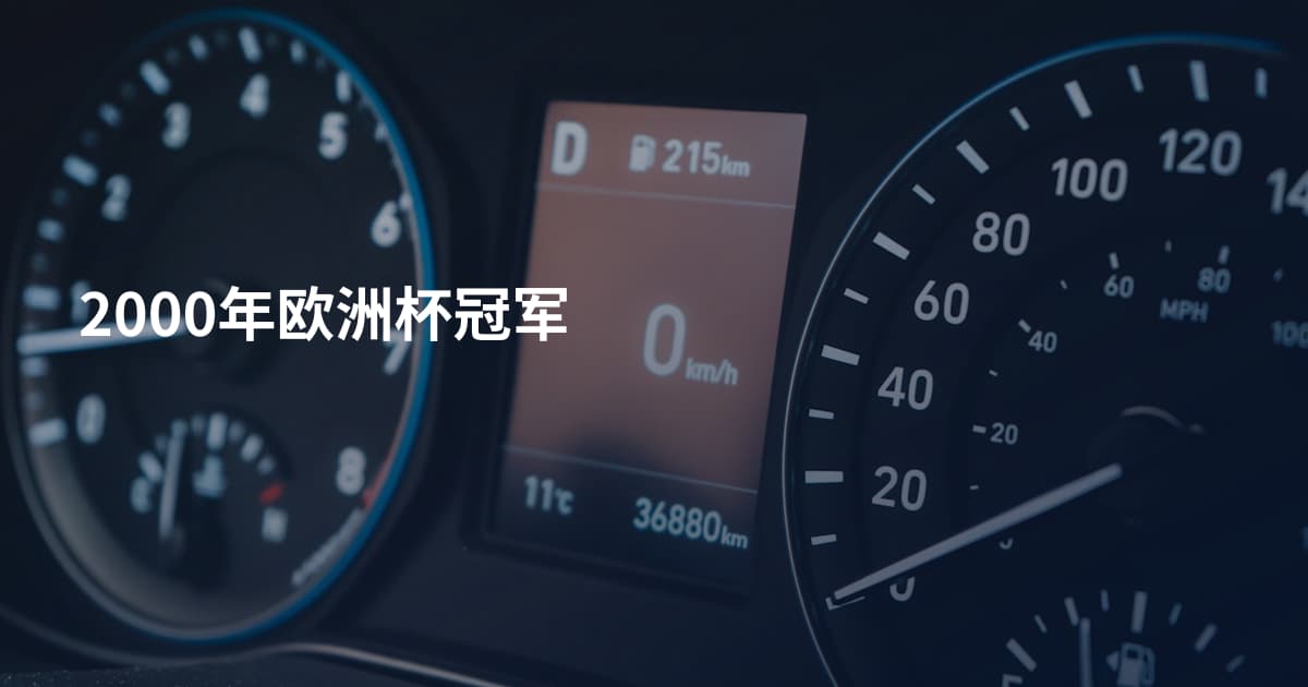 2000年欧洲杯冠军