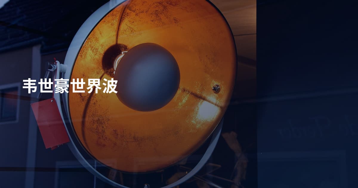 韦世豪世界波