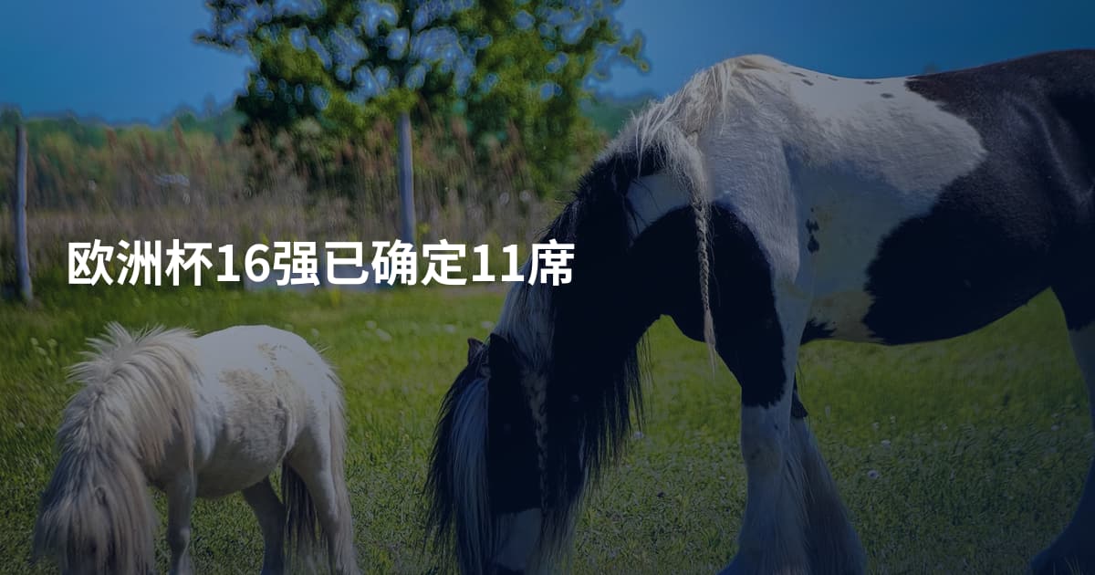 欧洲杯16强已确定11席