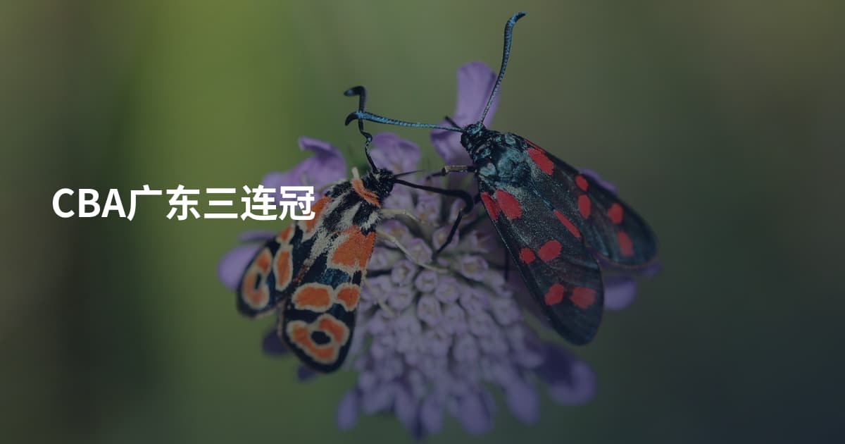 CBA广东三连冠