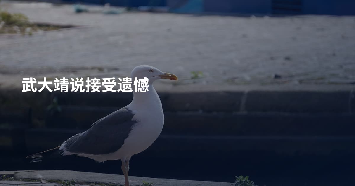 武大靖说接受遗憾