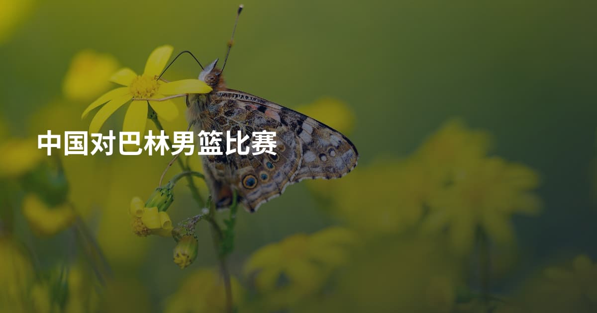 中国对巴林男篮比赛