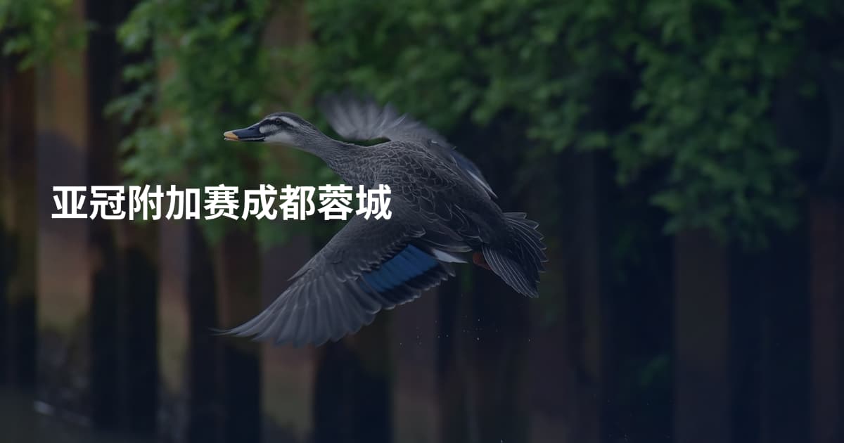 亚冠附加赛成都蓉城