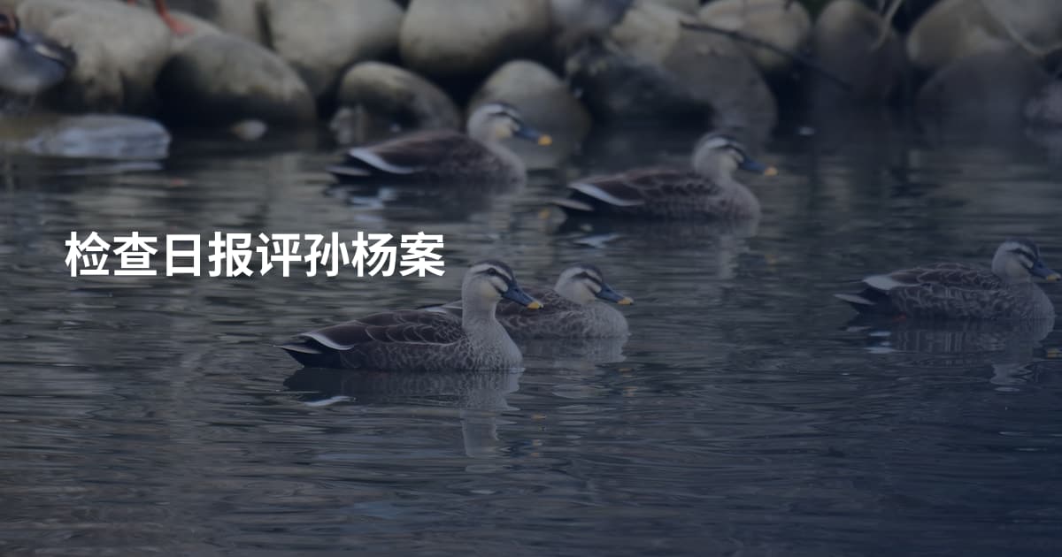 检查日报评孙杨案