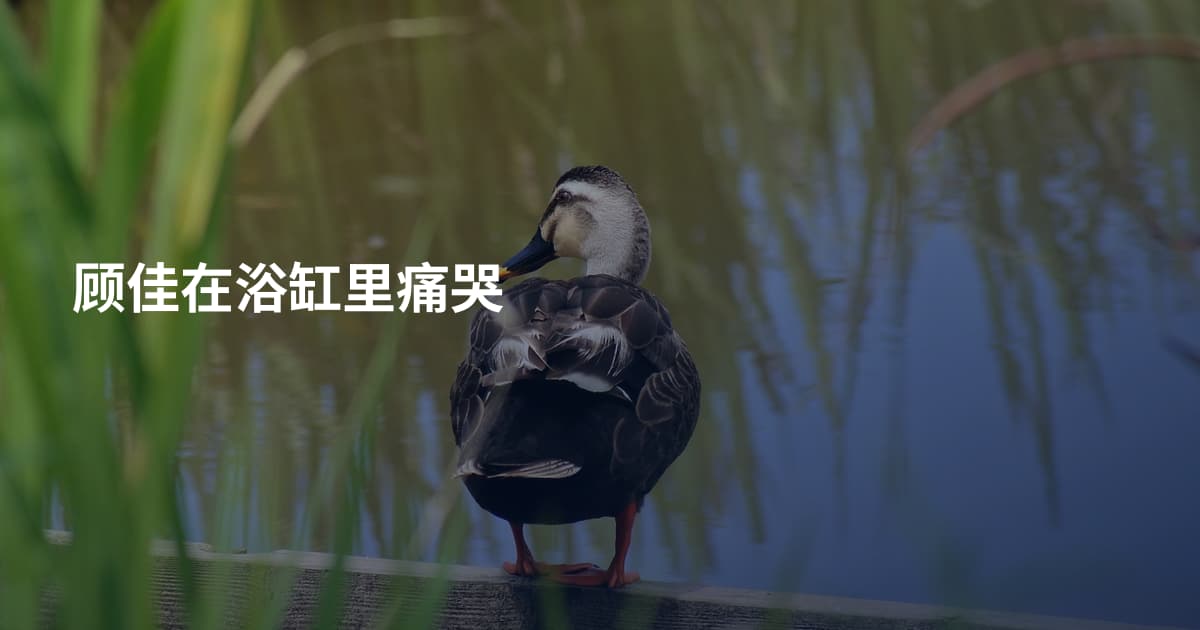 顾佳在浴缸里痛哭