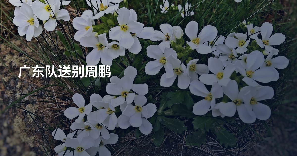 广东队送别周鹏