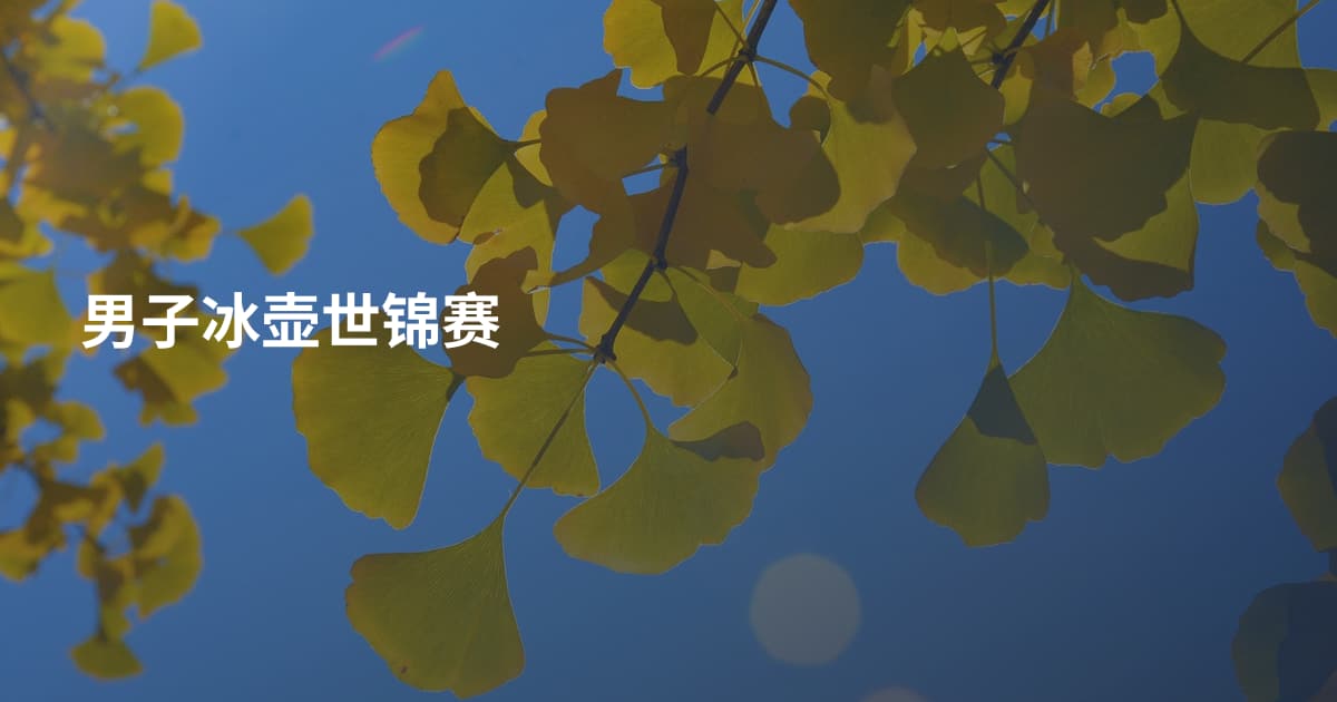 男子冰壶世锦赛