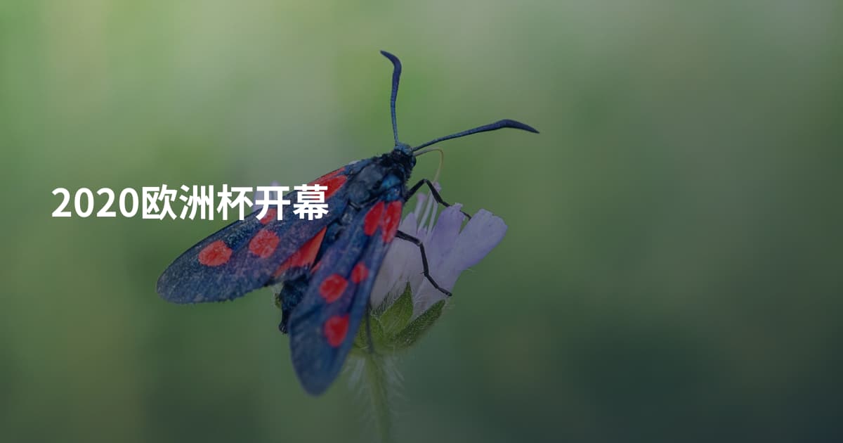 2020欧洲杯开幕