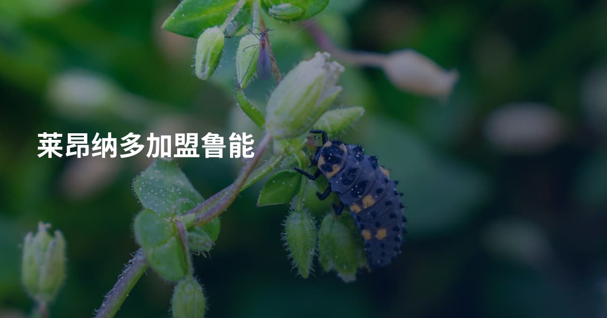 莱昂纳多加盟鲁能