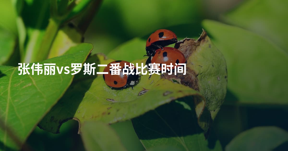 张伟丽vs罗斯二番战比赛时间