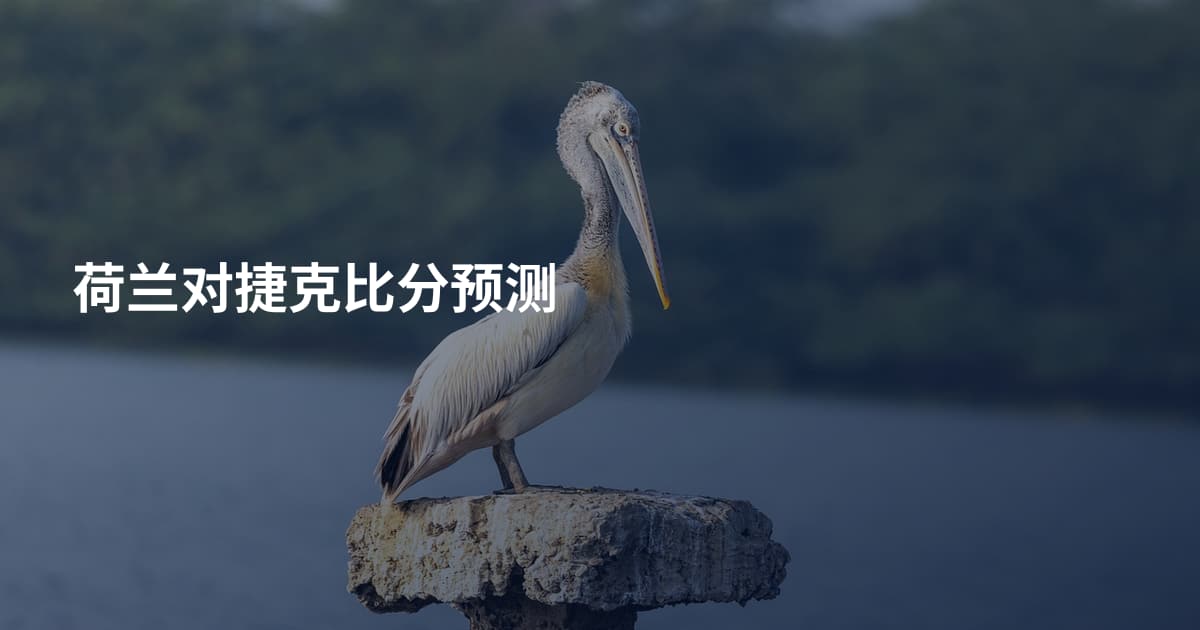 荷兰对捷克比分预测