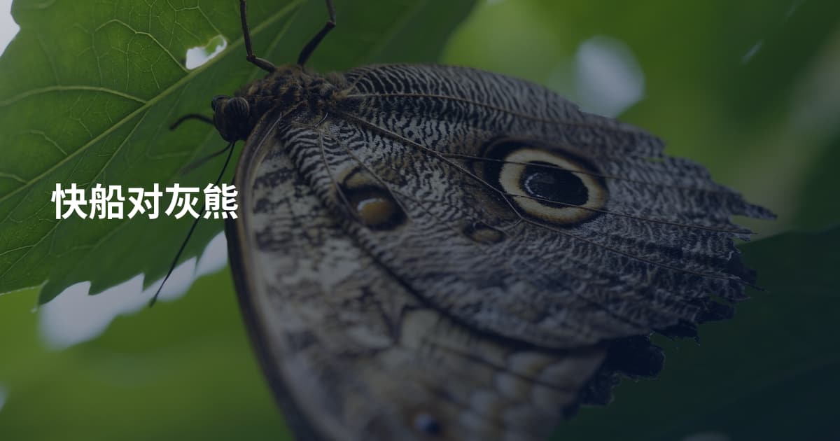 快船对灰熊