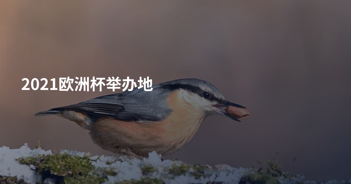 2021欧洲杯举办地