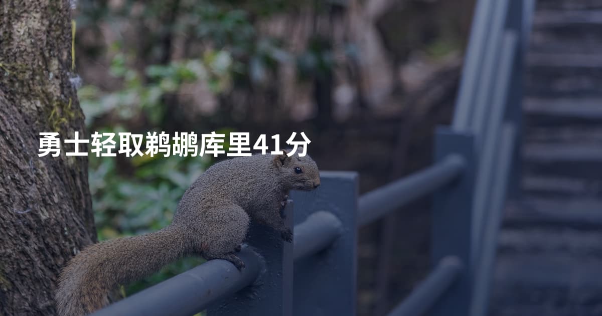 勇士轻取鹈鹕库里41分