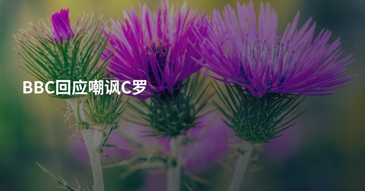 BBC回应嘲讽C罗
