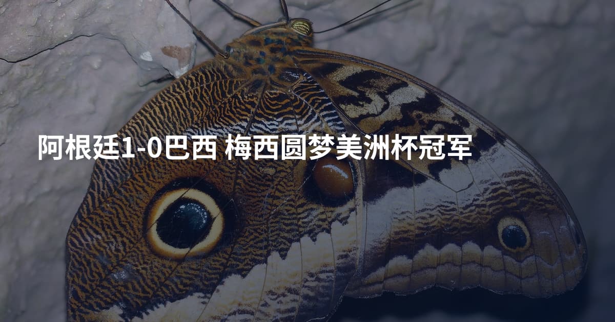 阿根廷1-0巴西 梅西圆梦美洲杯冠军
