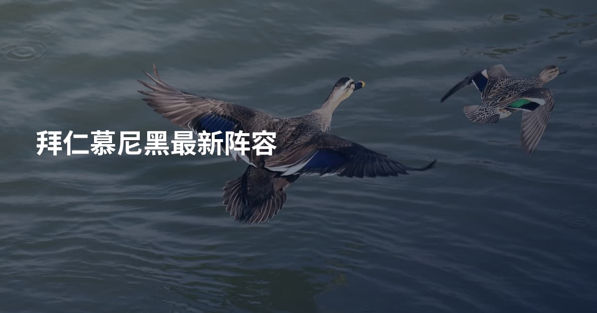 拜仁慕尼黑最新阵容