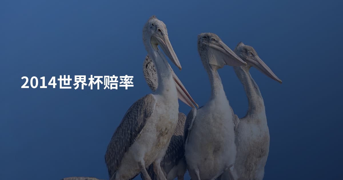 2014世界杯赔率