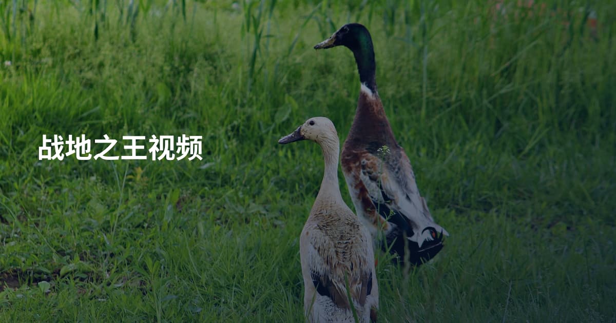 战地之王视频