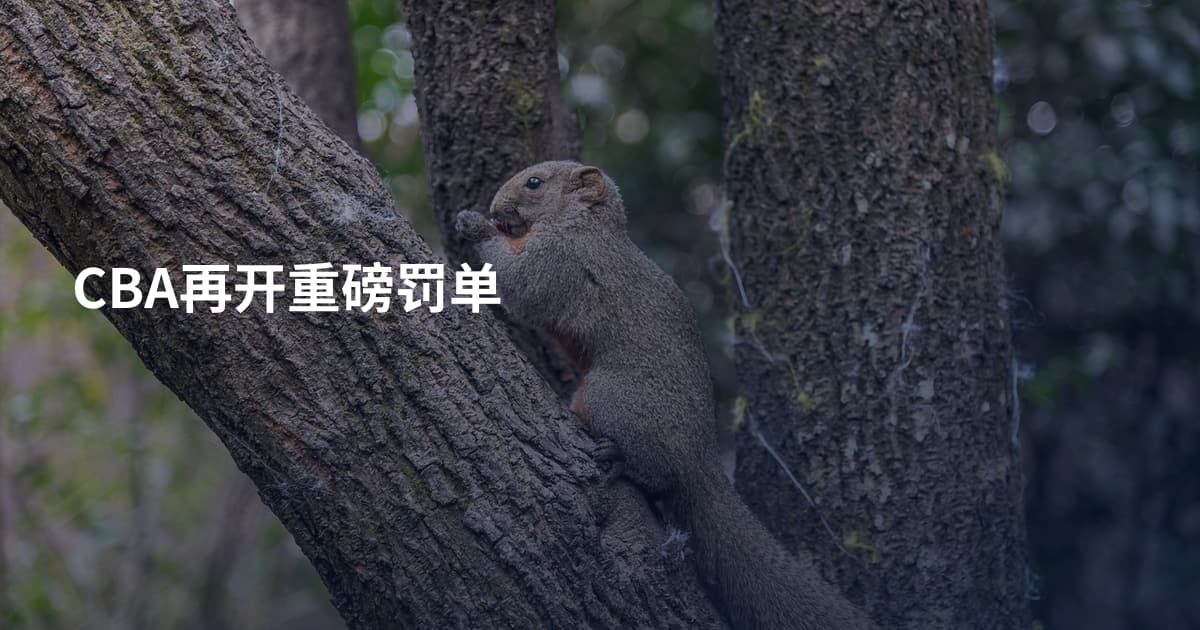 CBA再开重磅罚单