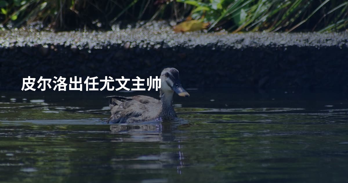 皮尔洛出任尤文主帅