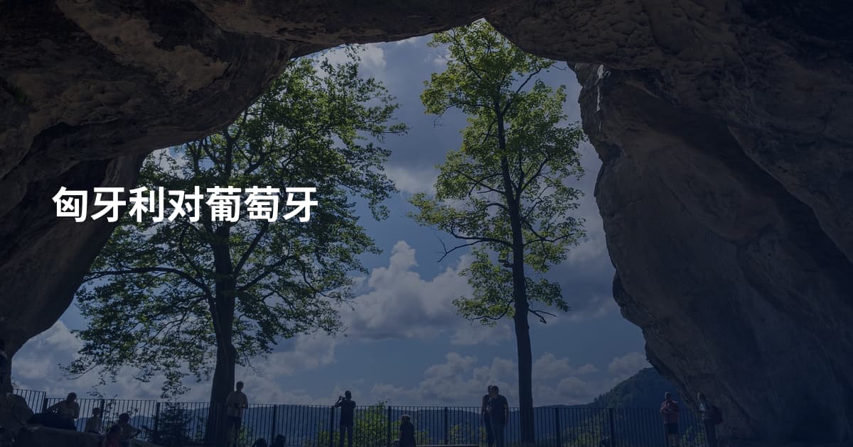 匈牙利对葡萄牙