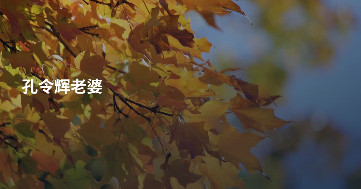 孔令辉老婆