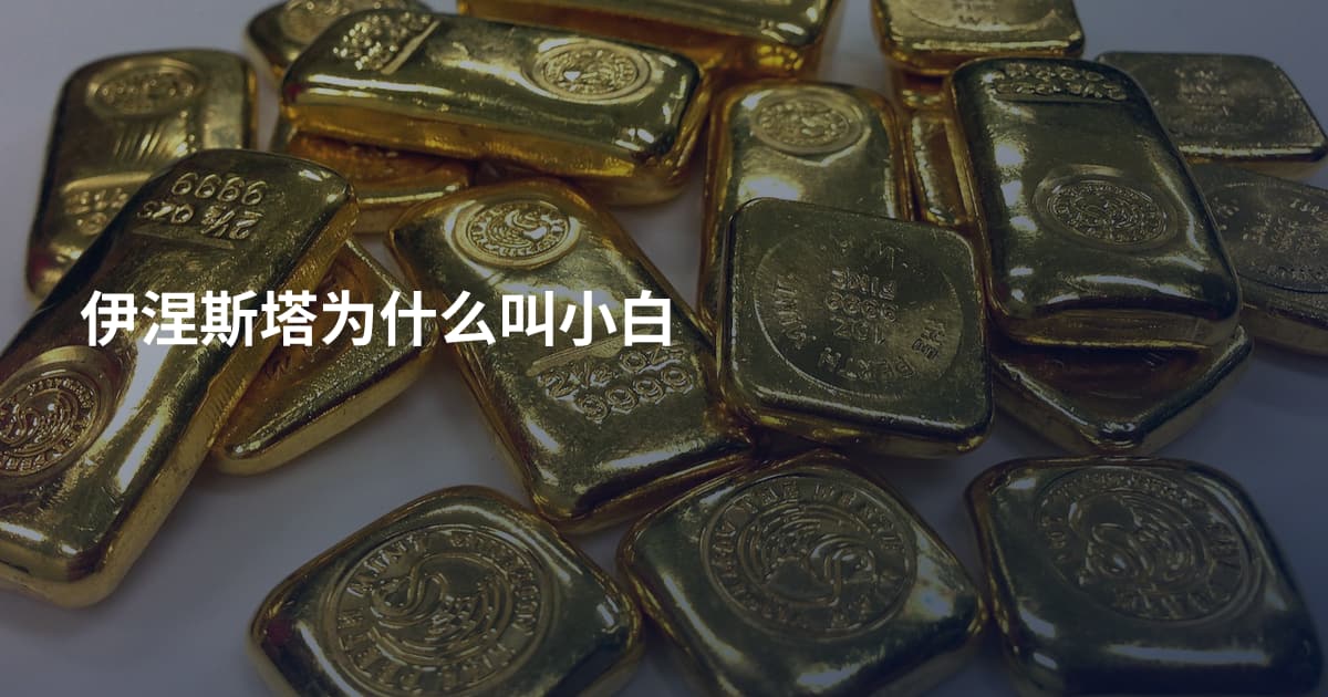 伊涅斯塔为什么叫小白