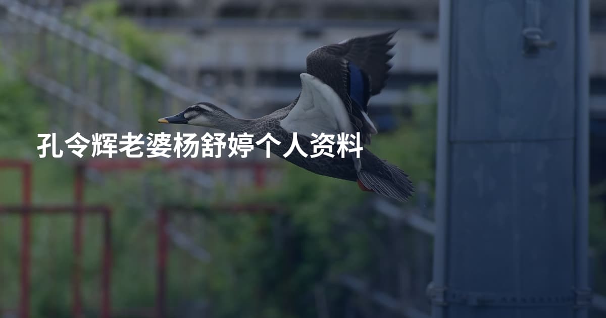 孔令辉老婆杨舒婷个人资料