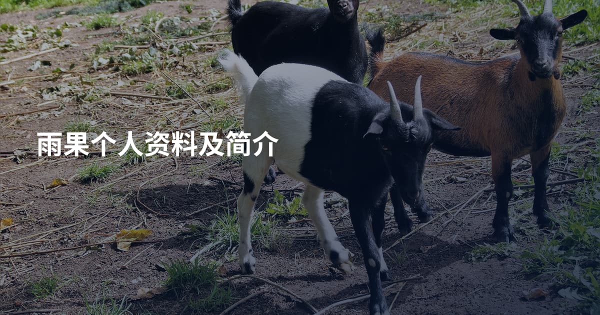 雨果个人资料及简介