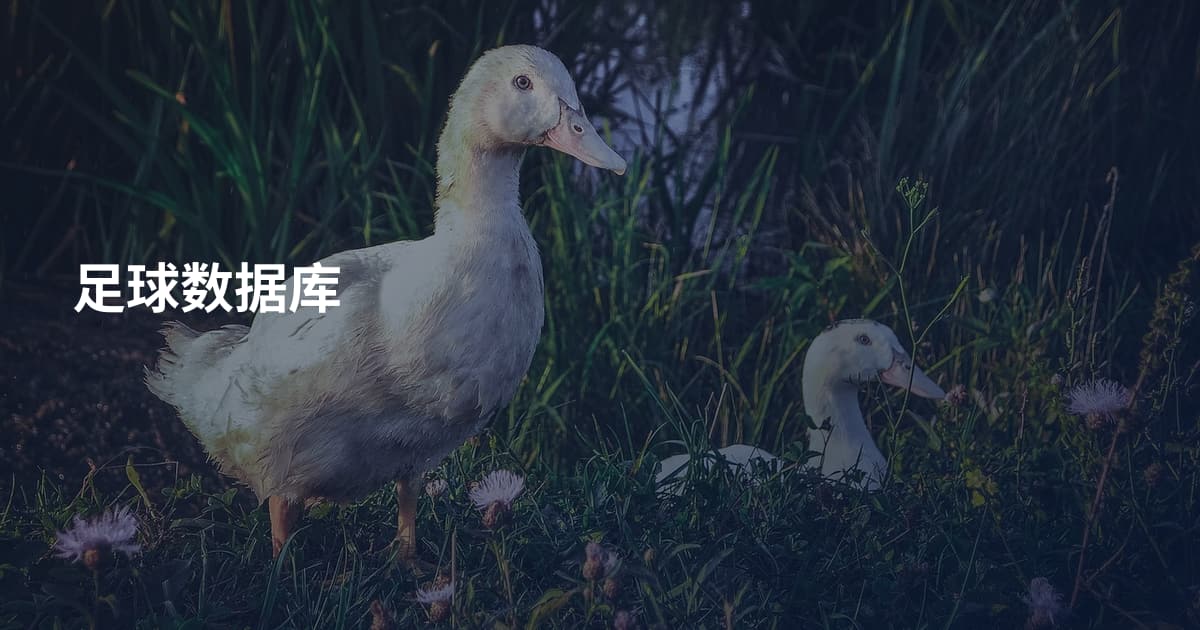 足球数据库