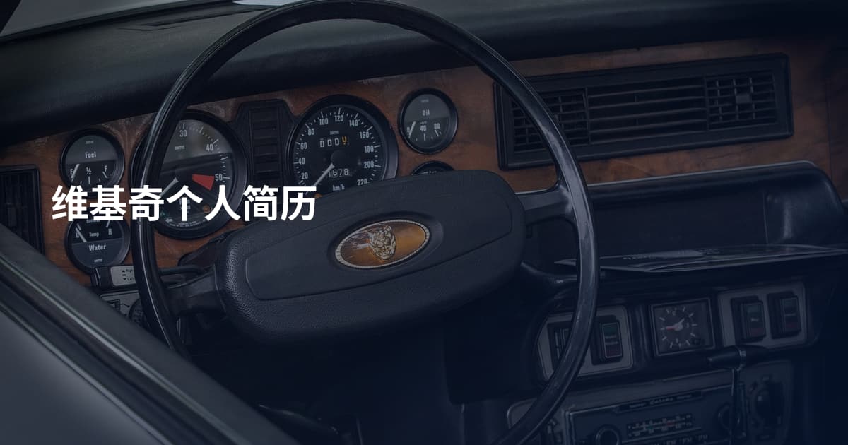 维基奇个人简历