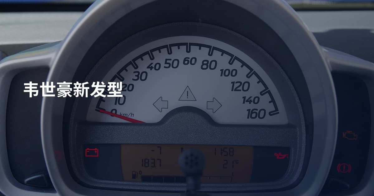 韦世豪新发型