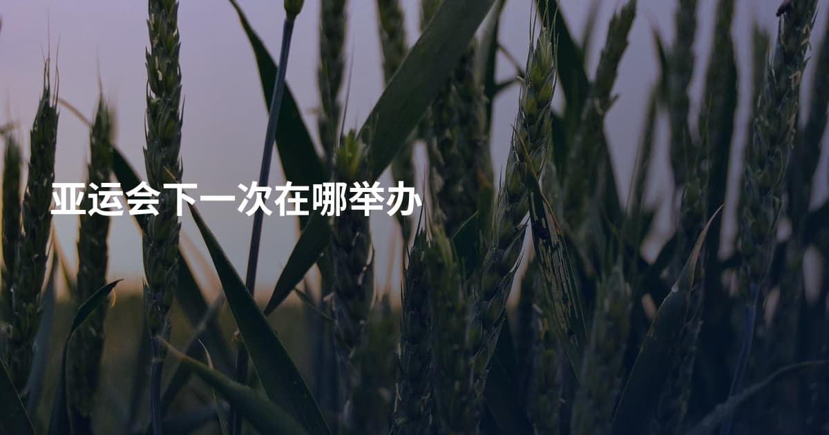 亚运会下一次在哪举办