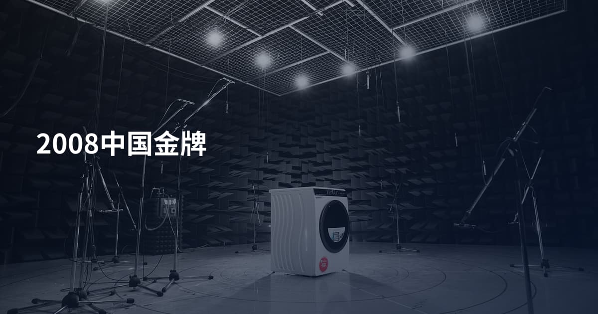 2008中国金牌