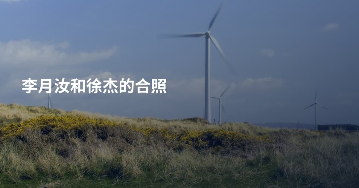 李月汝和徐杰的合照