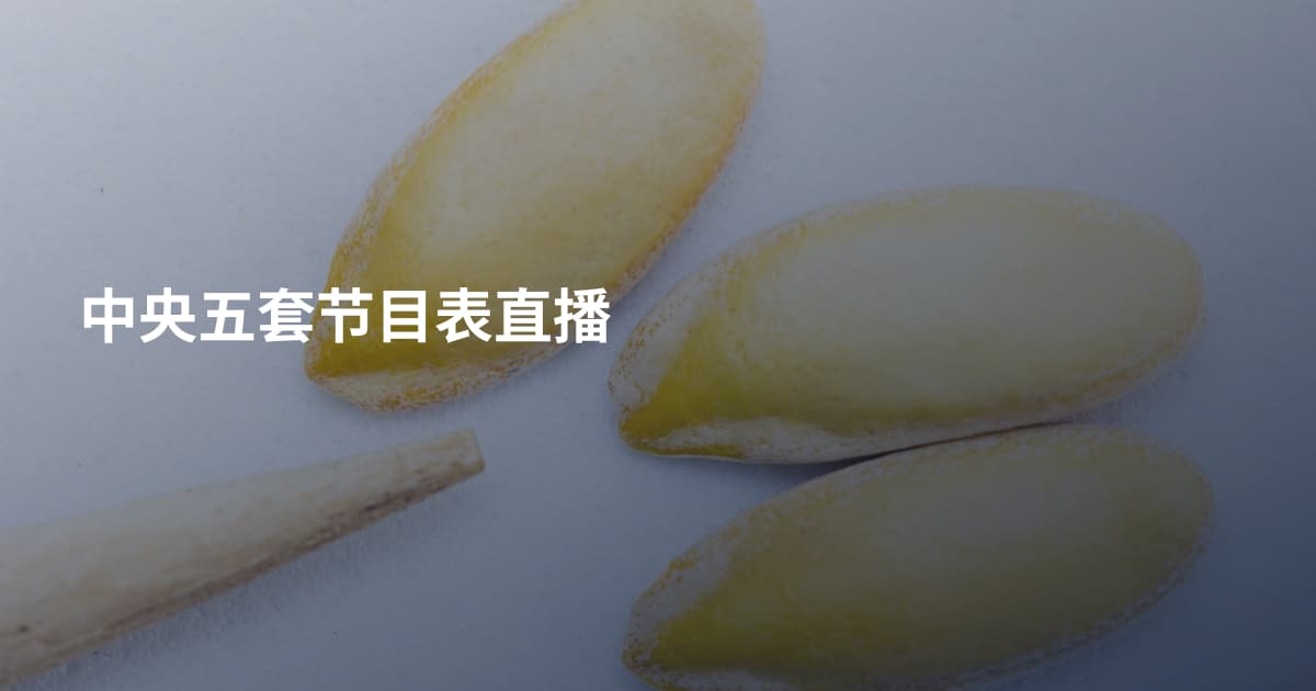 中央五套节目表直播