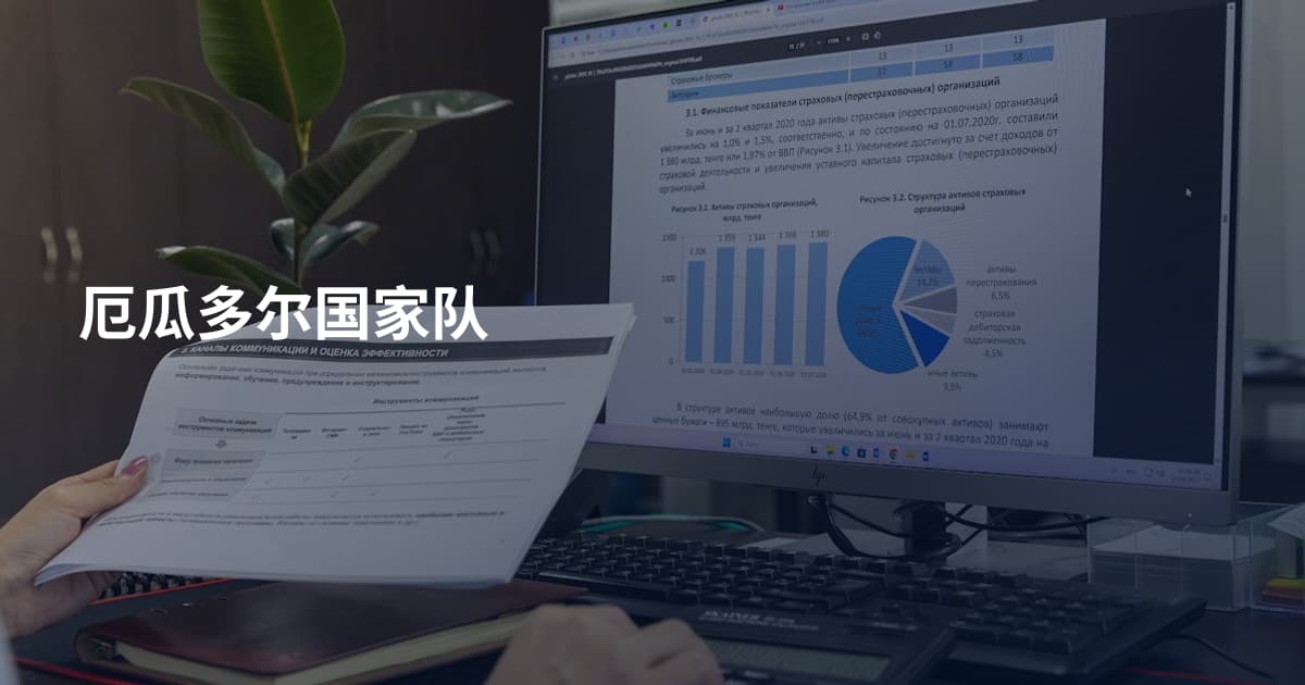 厄瓜多尔国家队