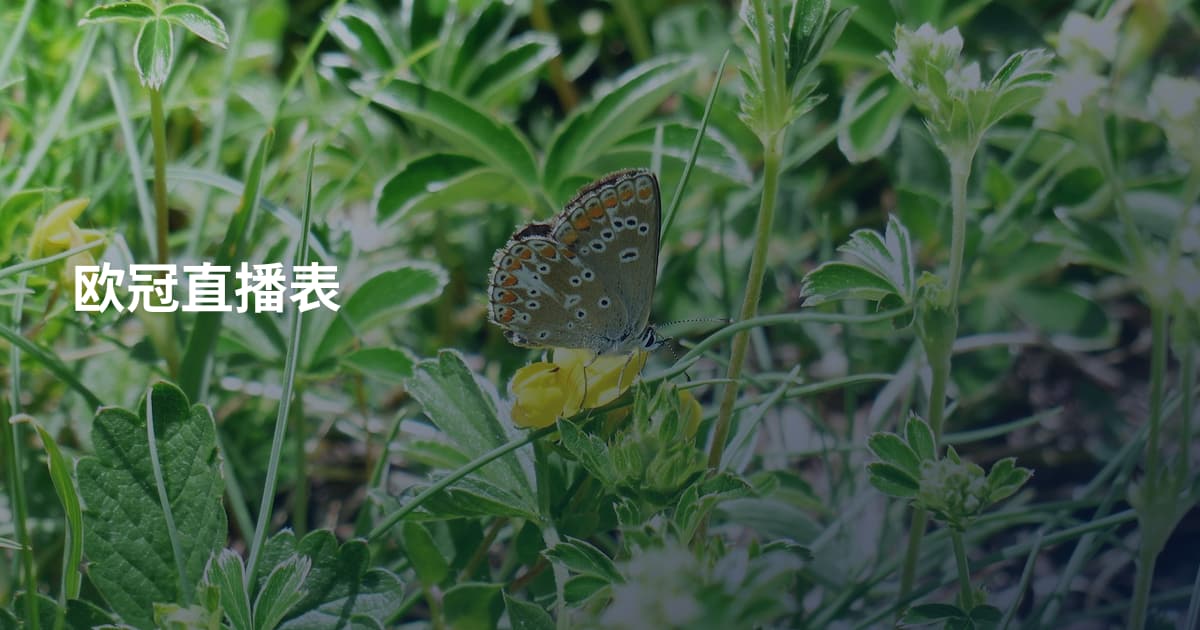 欧冠直播表
