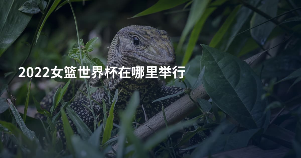 2022女篮世界杯在哪里举行