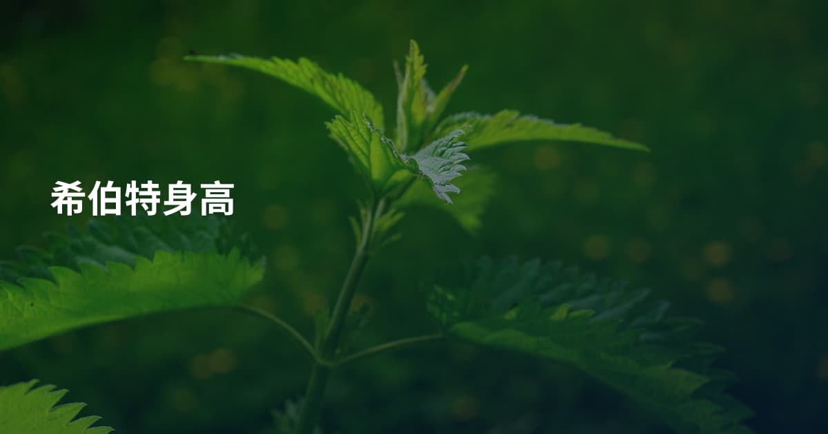 希伯特身高