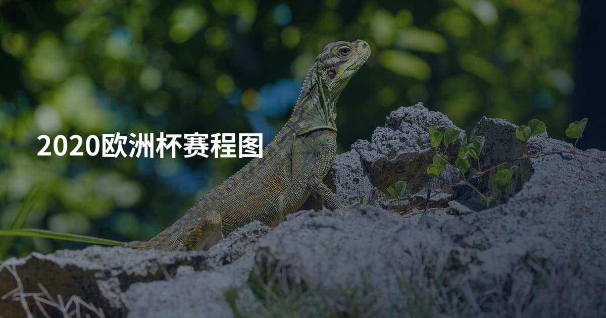 2020欧洲杯赛程图