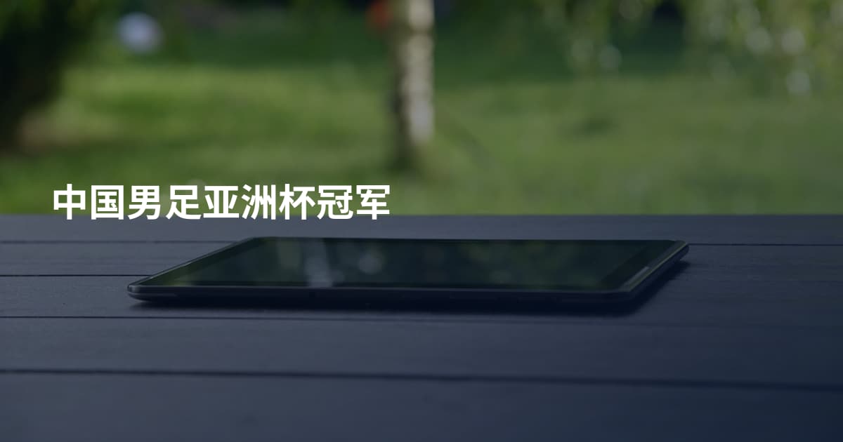 中国男足亚洲杯冠军