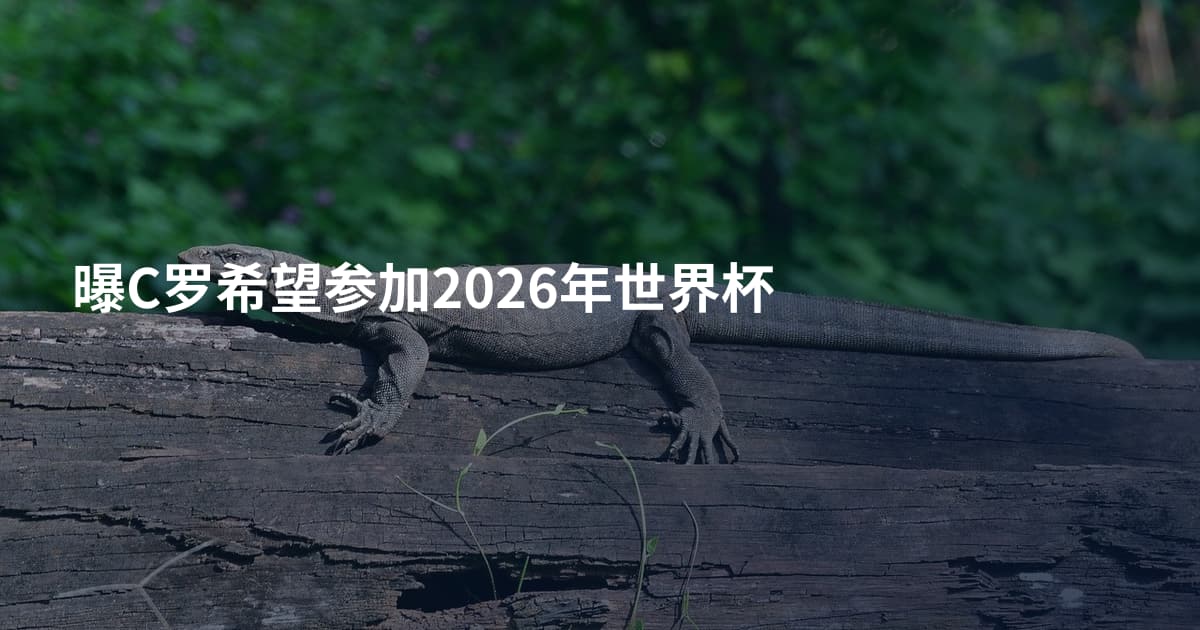 曝C罗希望参加2026年世界杯