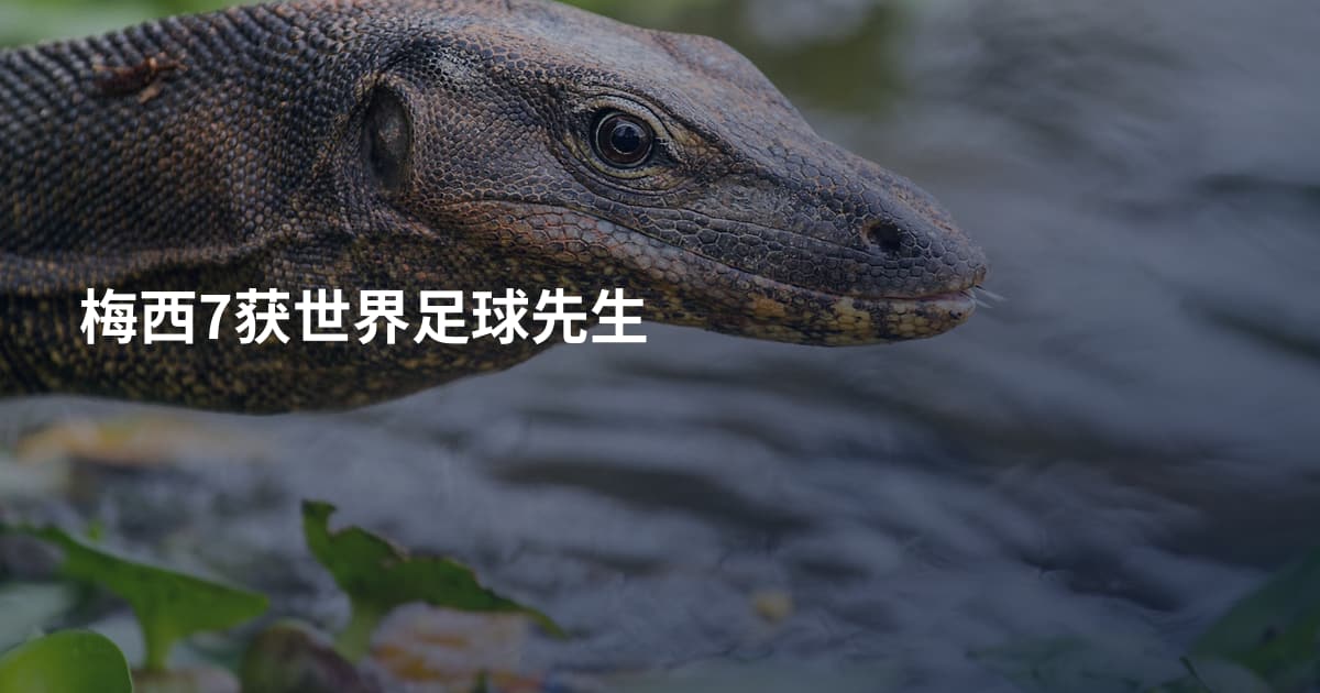 梅西7获世界足球先生