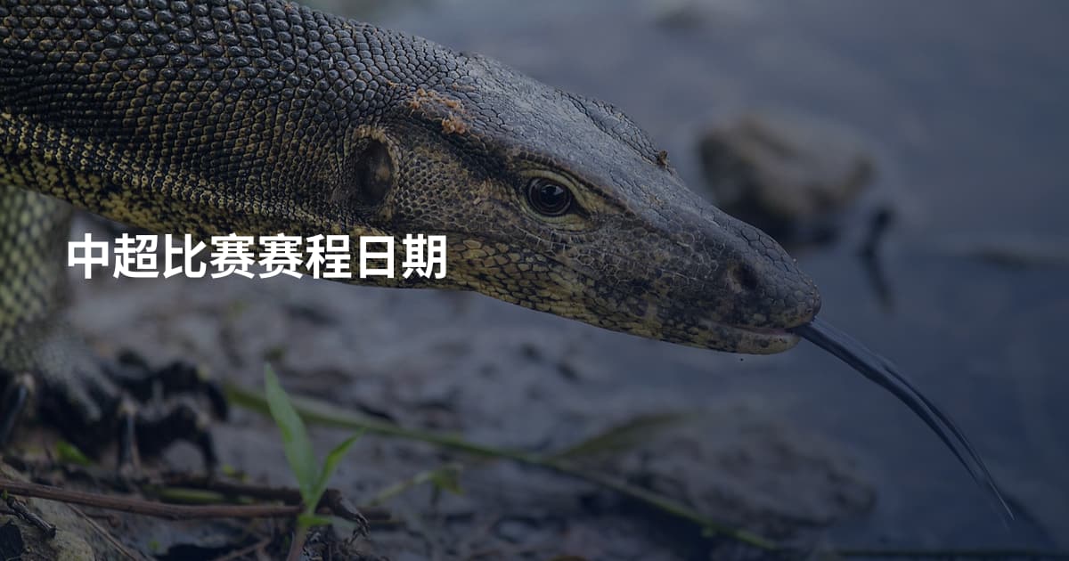 中超比赛赛程日期