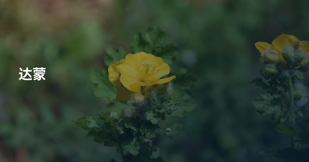 达蒙