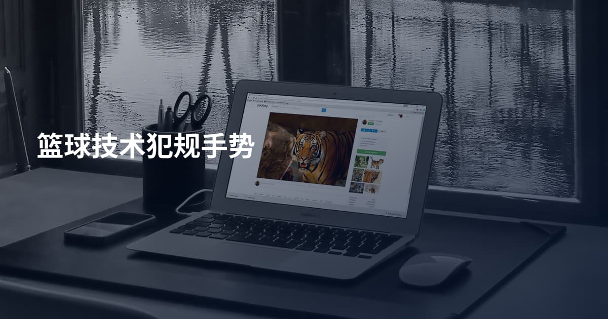 篮球技术犯规手势