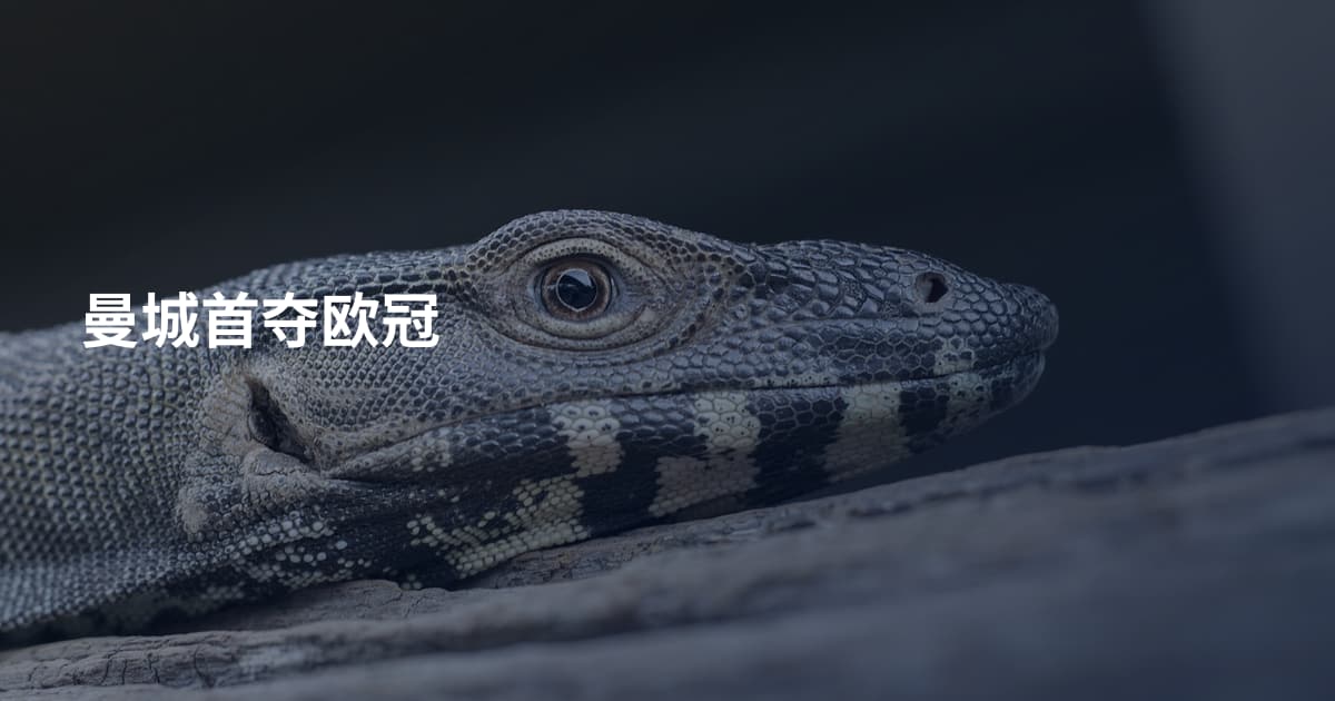 曼城首夺欧冠